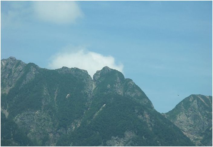 �m�R�M���x�̃S������A������グ���S�����̊炻�̂��̂ł��ˁI