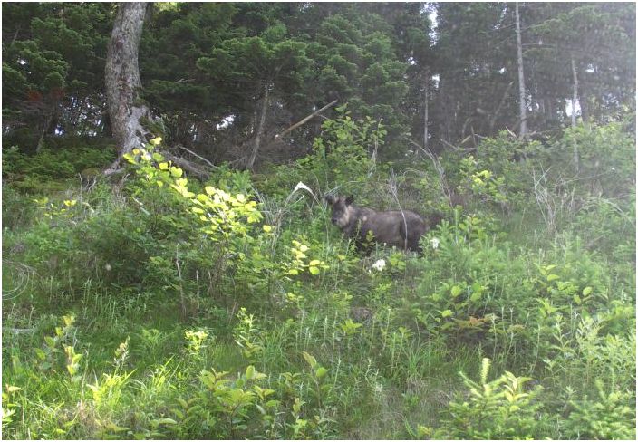 �^�]�肳��̃g�i�J�C�ł���I�̈ꐺ�ŊF�����ĂɁA���@�[�I�R���قǑO�ɂ͌F�����܂�����I�ƌ����Ă����܂���