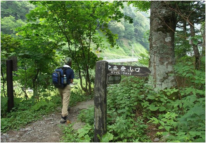 �S���N���A�T���̓o�R�J�n�ł��B�ӂ肪���Â��摜�̓u���u��(-_-;)�@���̉摜�͉��R���ɎB�������̂ł�