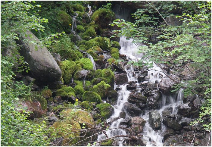 �{���ɗ��ꍞ�ތk���A�ې������₪�Y�킩�����ł��B