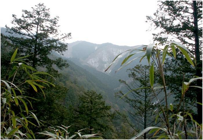 �瑁��Ղ̗т̐؂�ڂ��璸��t�߂��E�E�E�E