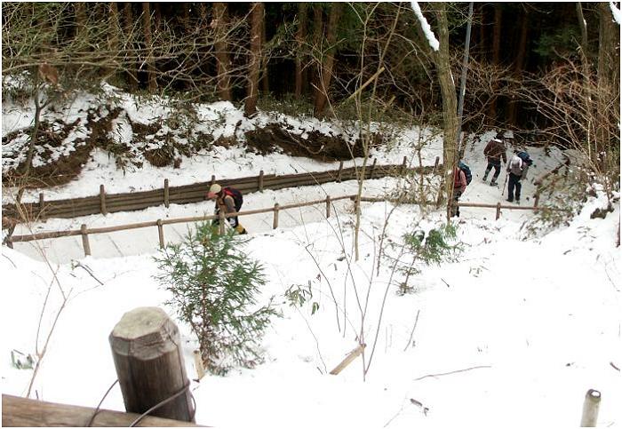 ��Ղ���̓o�R���́A�ۑ��ō��ꂽ�����T�C�Y�̑傫�ȊK�i��ł��̂œo�R�͉����ł��B