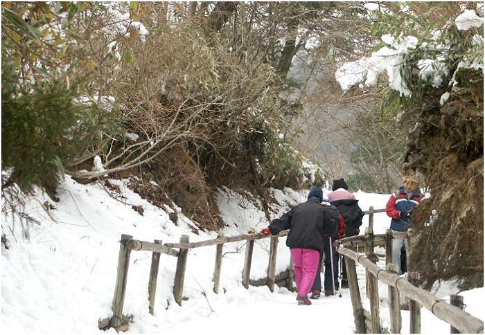 �o�R���ɂ͎肷���������Ă���A�g���b�L���O�|�[���i��j���v��Ȃ��ł��ˁI(��)