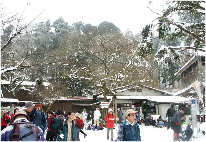 �R�������̔��X�O�̏�i�ł��B�z�b�J�z�b�J�́��Q�W�O�̃J�b�v���[�����̔��������������ƁI(^_^)v