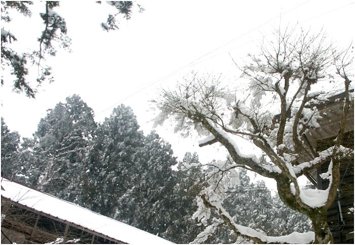 �ȒP�Ȓ��H��A�R���������U�􂵂Ă݂܂����B�̂𓮂����Ȃ��Ɗ����āI