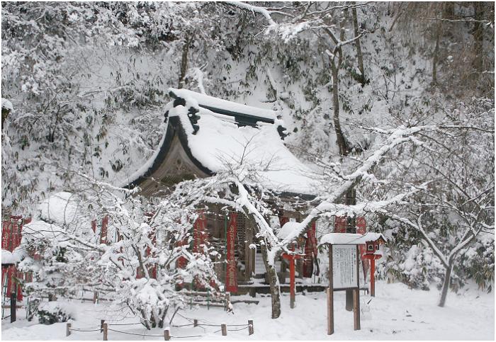 �]�@�֎��̒����E��̐Ԃ����Ɉ͂܂ꂽ�s�ғ��ł��B