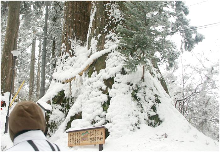 �ˑR�A�ڑO�Ɍ��ꂽ���̗ǂ��v�w���A�㕔���B��̂�Y��Ă܂����I(-_-;)