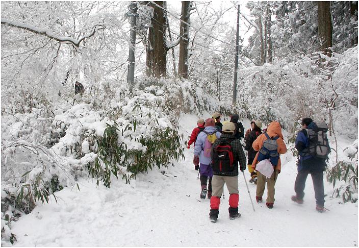 ���ؐ_�ЂɎQ�q��A�R���Ƃ����ʂ�ŉ��R�s���ɓ���܂����B