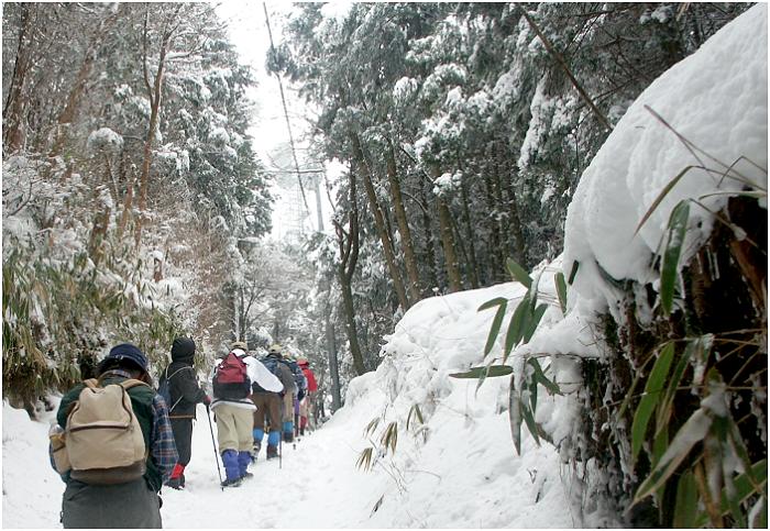 ���R�s���͗N�o�x�E�������o�R�Ń��[�v�E�F�C�[�O�t�߂ł����B��N�Ԃ�̑ϊ��o�R��A�x�c�т̂���ۂ̏h�ňꗁ�ь�A�A�H�ɒ����܂����B�������L��������܂����B