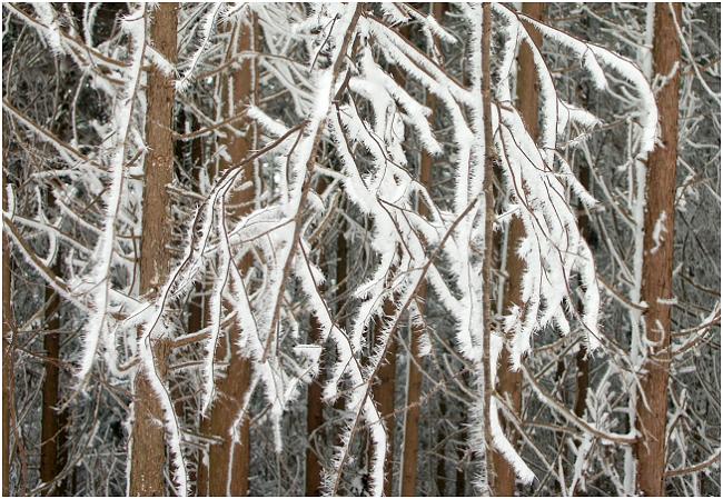 ���т̌͂�}�ɂ��A�Y��Ȏ��X���E�E�E�E