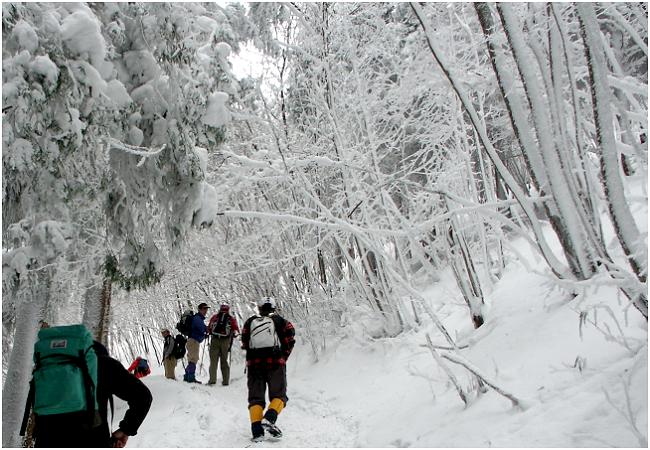 �����ʁI(^_^)v