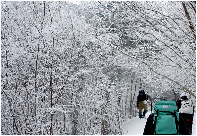 ����߂��ɂȂ�قǁA�ϐ���[���A�C�[�������ĂĂ��Y���Y�������āE�E�E�E�E