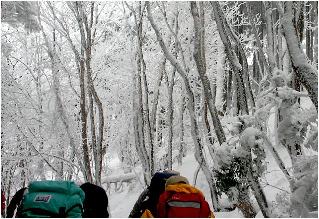 �Ԍ��̐���̍��ԂɁE�E�E�E�E