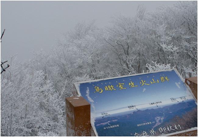 ���㓞�����́A�����̓ܓV�Ɛ���Ńp���t�L�ڂ̓W�]�̓_���ł����I(-_-;)