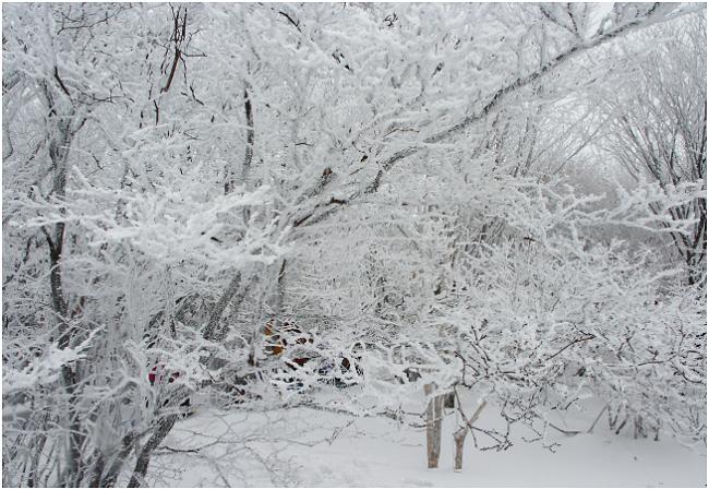 ����̉����������Ă��A���X�I���X�I(^_^)v