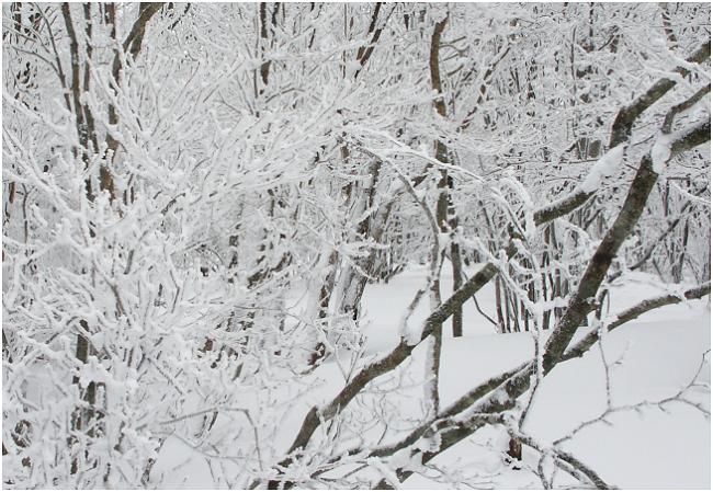 �����I�̈ꌾ