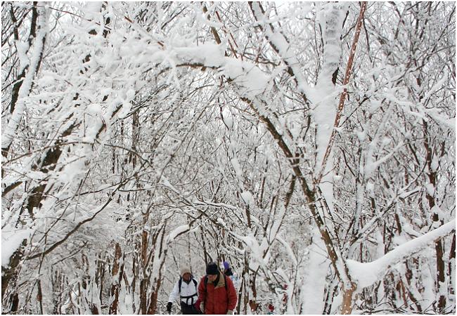 ����ł̈ꎞ��A���R�ɁE�E�E�E