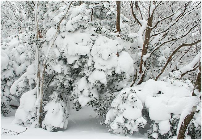 ��Ύ��Ɋ�������A�����Ȏp�Ɍ����Ėʔ��������ł��ˁI