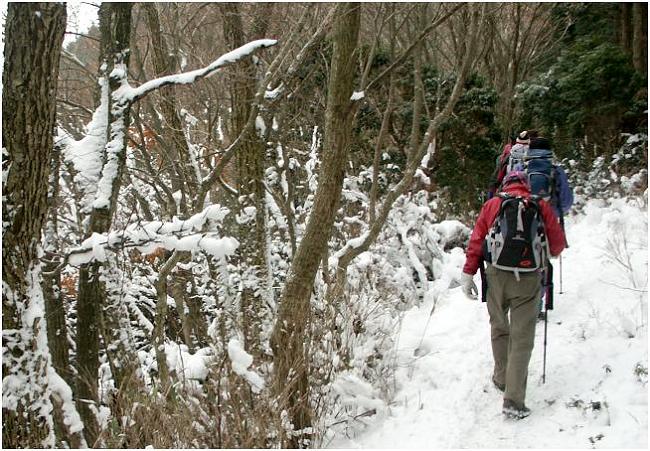 ���T�C�h�̎��X�����Ȃ���A�فX�ƁE�E�E�E