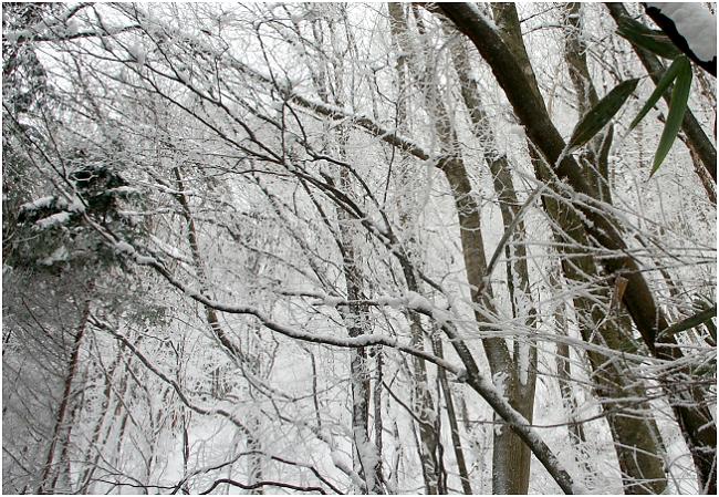 ���т𔲂���ƁA���X�ŉ��ς����u�i�т̃g���l���̘A���I