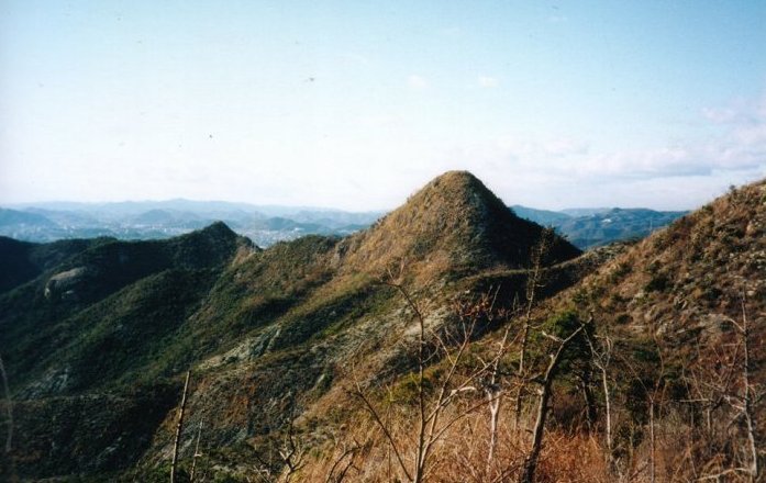 �����̓f�B�W�^���J�����͎��p�ɂȂ炸�A�≖�J�����̃v�����g���X�L���j���O�����摜�ł��B