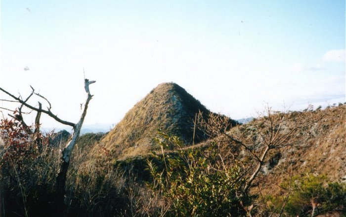 �����̓f�B�W�^���J�����͎��p�ɂȂ炸�A�≖�J�����̃v�����g���X�L���j���O�����摜�ł��B