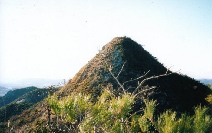 �����̓f�B�W�^���J�����͎��p�ɂȂ炸�A�≖�J�����̃v�����g���X�L���j���O�����摜�ł��B