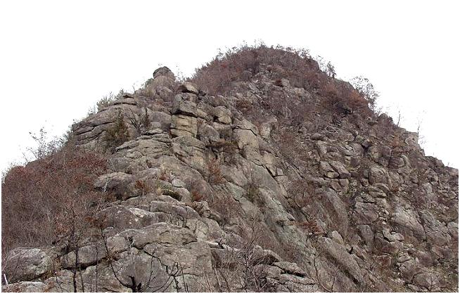 �d���A���v�X����̓(�_�?)