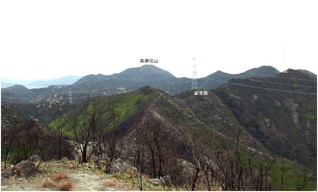 ����ɂ������͂��̖؁X���Ă������āE�E�E�E�E