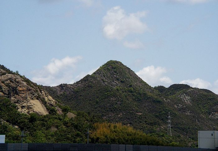 �\��͉����R�P�O�i�ł��������҂��Ă����قǗǂ���i���o�����T�i�ɏI����Ă��܂��܂����BPhoto By 1999.5.5
