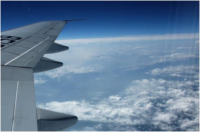 �ɒO��`����V��΋�`�Ɍ����o���A�@���̑�����_�΂���E�E�E�E