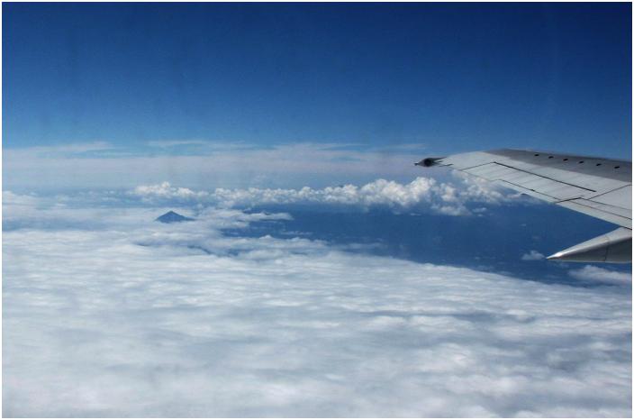 �V��΂���t���s���ɏ�芷���A���ꎞ�Ԃŗ��K���̒��オ�����Ă��܂����B