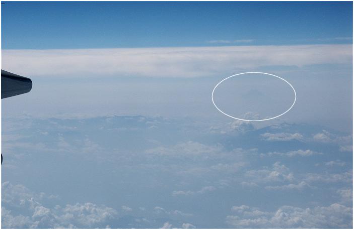 �_��̔�s�������Ă��܂������A�ӂƑ�������Ƃ������ɕx�m�R���E�E�E�E����ł͂��������͂����茩���Ă��܂����B