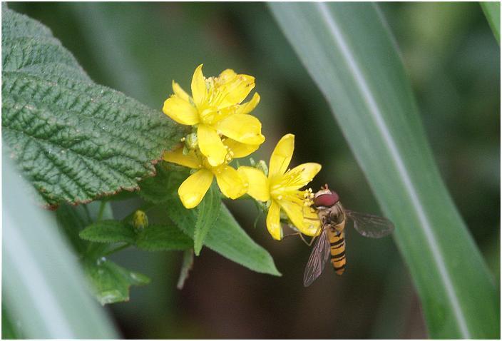 �ʂ̂��A�b�v�łƃA���O����T���Ă�����A����ȃV���b�g���E�E�E(^_^)v�E