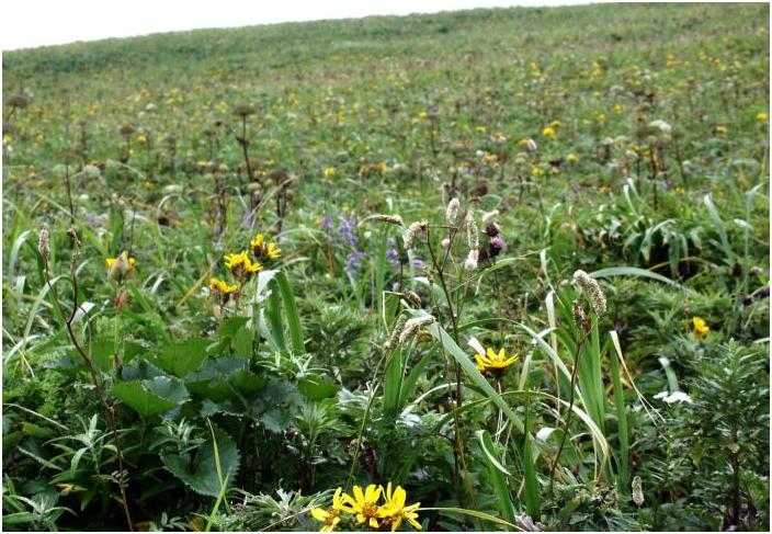 �������A���Ԕ�����t�ł����B(^_^)v