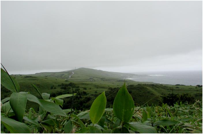 �����������Ƃ���Ɍ����炵�̗ǂ�������A�k����