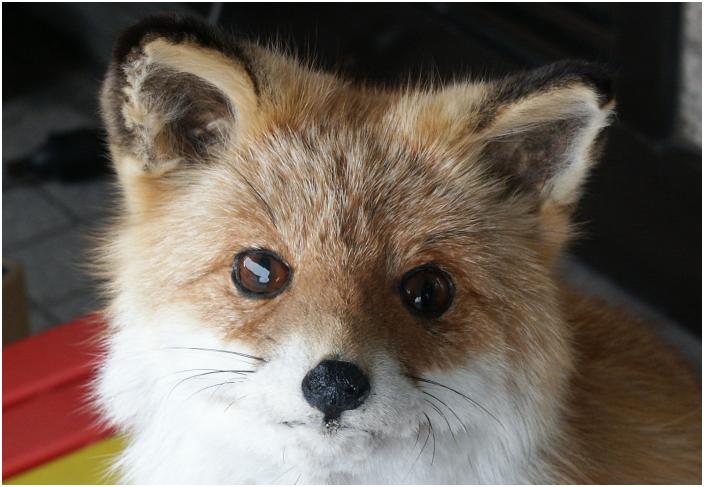 �t�F���[�^�[�~�i���O�̓y�Y��������̓X���Ō����u�L�^�L�c�l�v�̔����B�����Ă���݂����ł��ˁI