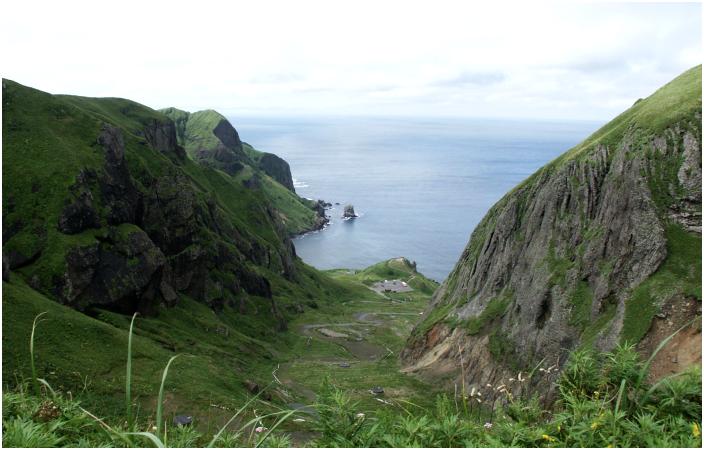 ����̂��ׂ̒J�Ԃ���A���n�C�݂ł��B