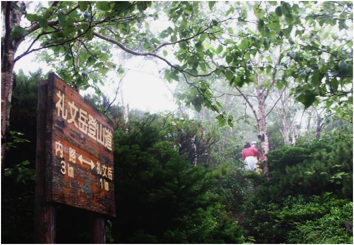 �ŏ��͕��R�ȓo�R�����������A���̕ӂ肩��R�炵�����ɁI�܂�����J�͗l�̋C�z�I(-_-;)