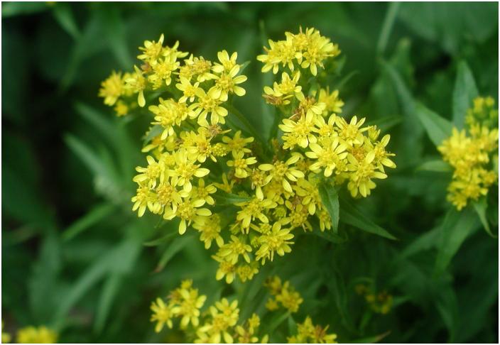 �u�A�L�m�L�����\�E�v�ɃA�b�v�ŁE�E�E�E