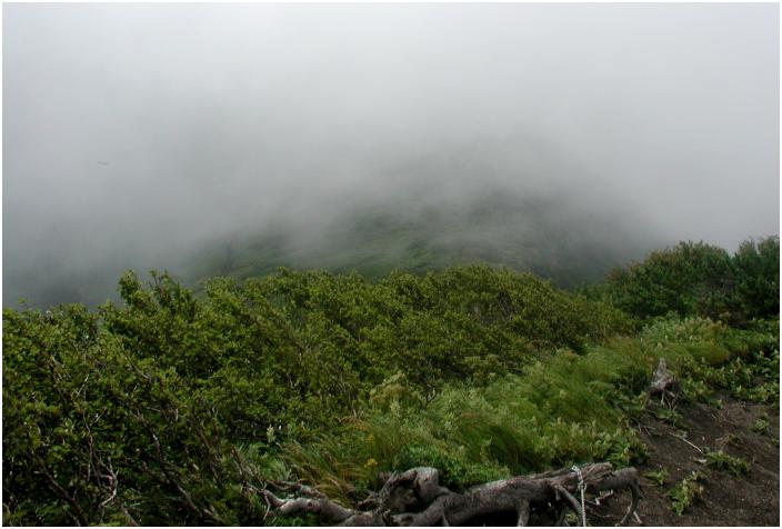 ���̕ӂ肩��V�󂪋}�ρA�J�����̓U�b�N�ɁI�X���ڎ�O�ŃJ���o�b�N�I(-_-;)