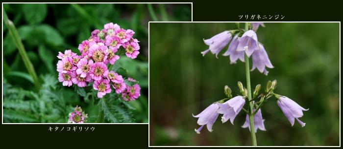 �������Y��ȉԁX�I�C�݂̕��i�͍ō��I�C���͗������I�����ɏZ�݂����ł��ˁI