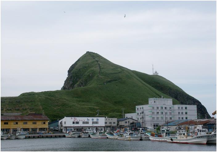 �����́u�݂����v���h���̃x���V�����ł��B�����A�y�V���ɓo���Ă��܂����B���S�̂����Ԕ��ł����B