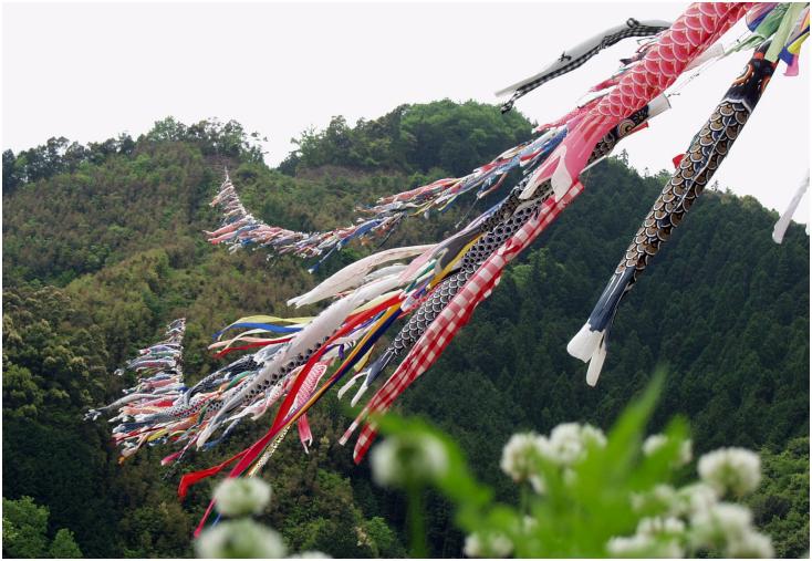 �N���[�o�[�̉ԉA����E�E�E�E