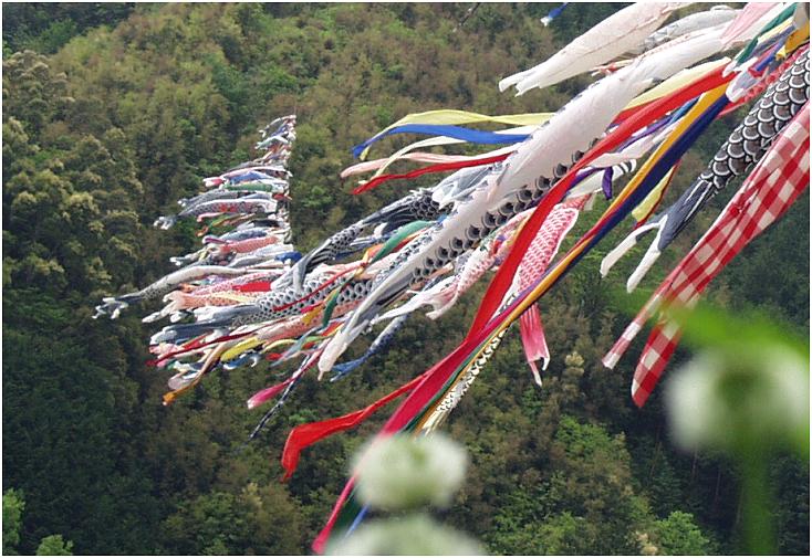 �y�n�n�l���ő�ɂ��āE�E�E�E�E