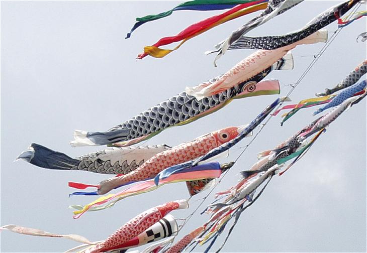 �y�n�n�l���ő�ɂ��āE�E�E�����܂�ŉj����͍ō��I(^_^)