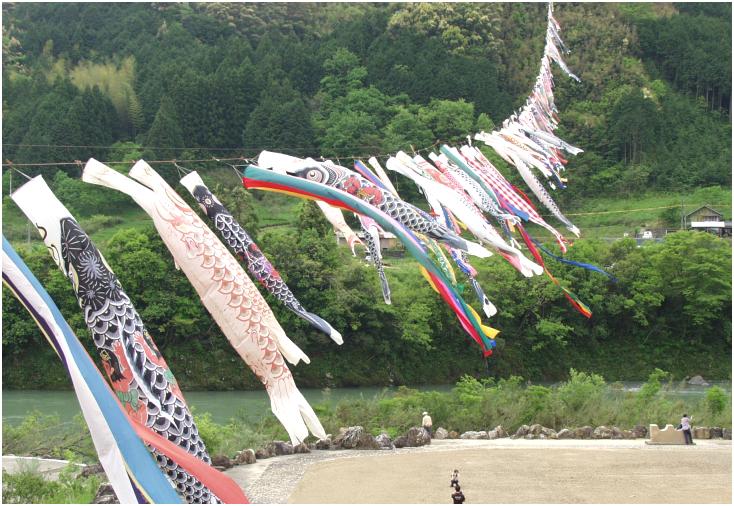 �ό��ē����߂��̍��䂩��E�E�E