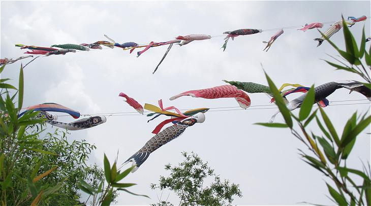 �͌��ɐ����Ă�����т̉A����E�E�E�E