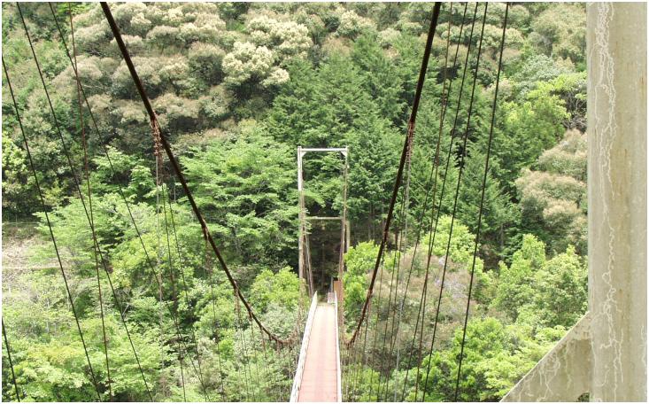 �q�|�S�R�X�����̎l���\��㗬�ɉ˂���苴�@�Ί݂ւ̐������H�ł��傤��