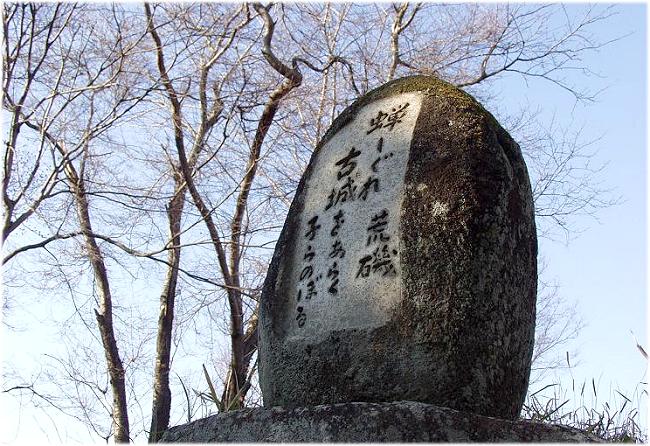 ����̕��i